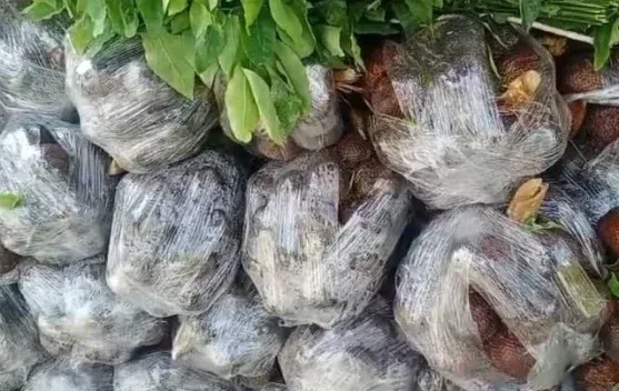 Ekspor Buah Salak dan Semangka BUMDes Entikong Meningkat Selama Ramadan