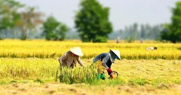 Pentingnya Pelatihan Kejuruan bagi Pekerja Pedesaan dalam Pembangunan Ekonomi