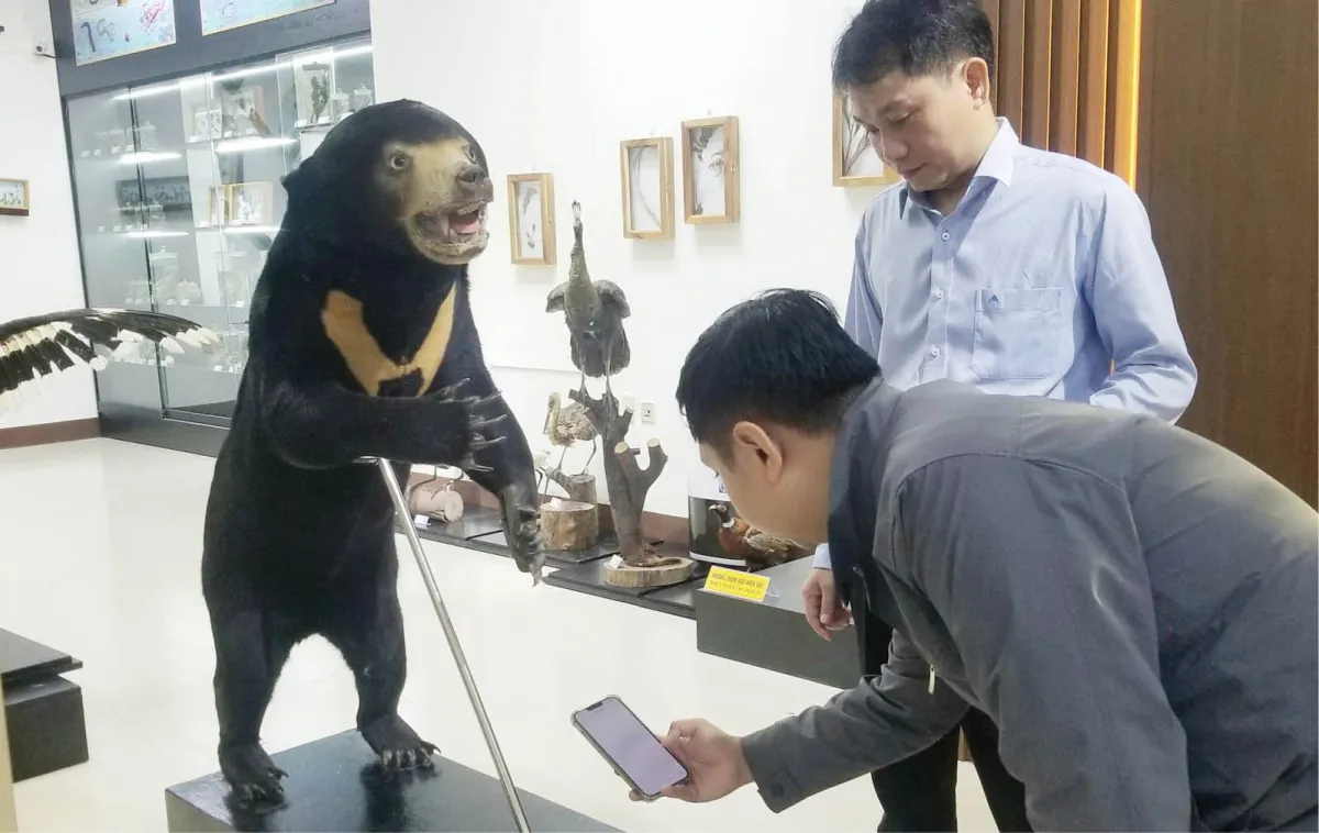 Museum Alam Pesisir Tengah Hadirkan Digitalisasi untuk Pengalaman Edukatif