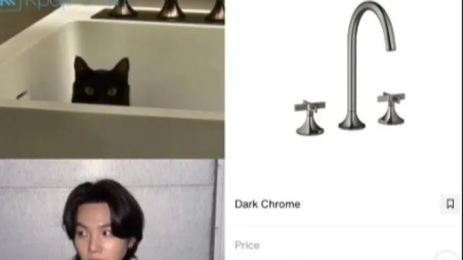 Suga BTS Bagi Momen Bersama Kucing, Netizen Terpikat Interior Mewahnya