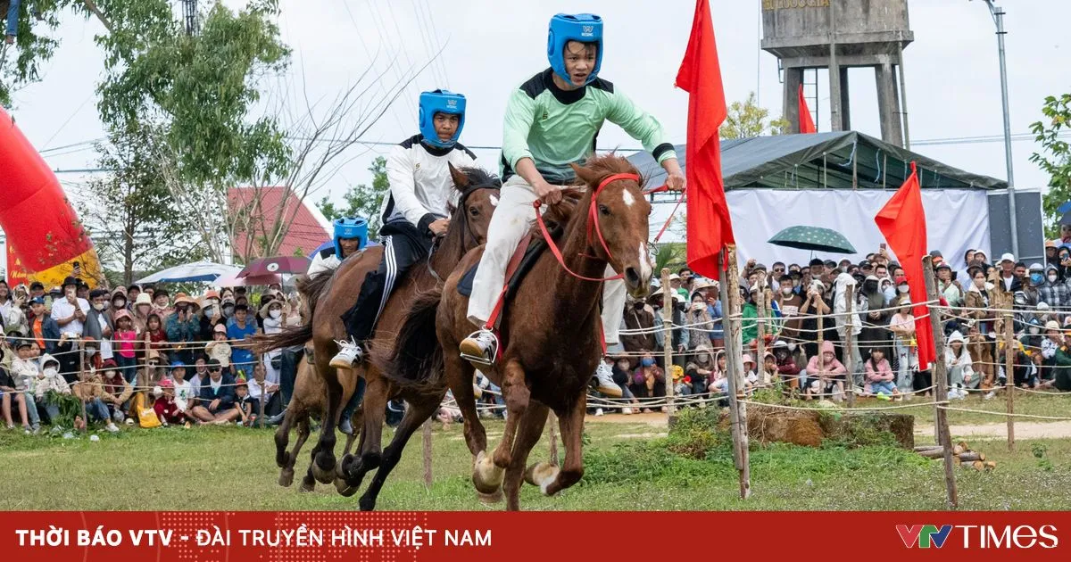 Festival Pacuan Kuda Meriah di Go Thi Thung Sambut Tahun Kuda 2026
