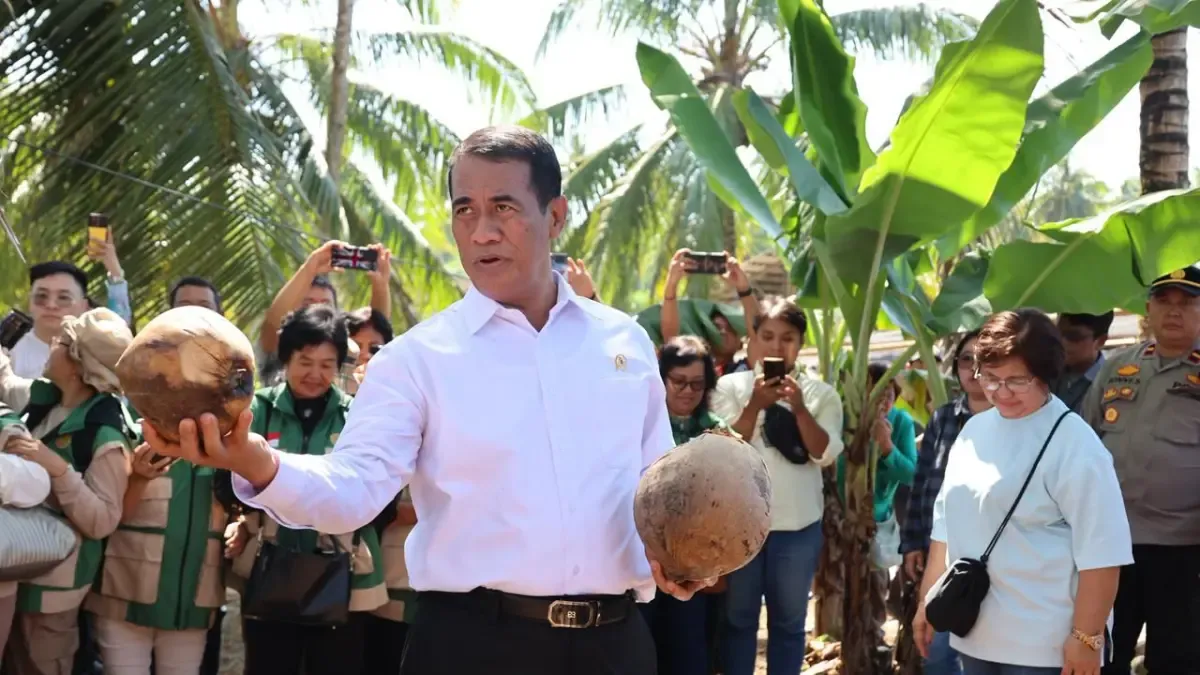 Mentan Amran Tindaklanjuti Temuan Ketidaksesuaian dalam Program Pembibitan Kelapa di Manado