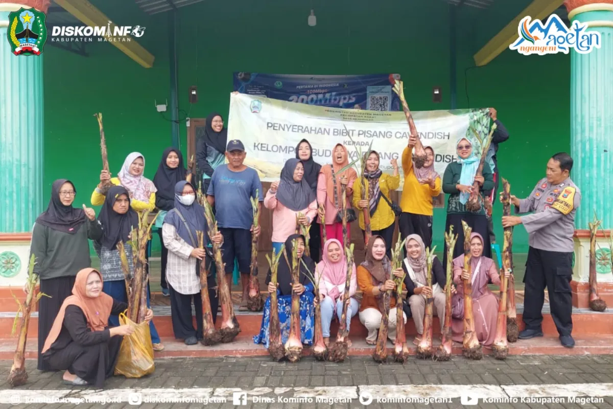 Desa Rejomulyo Targetkan Jadi Sentra Pisang Cavendish