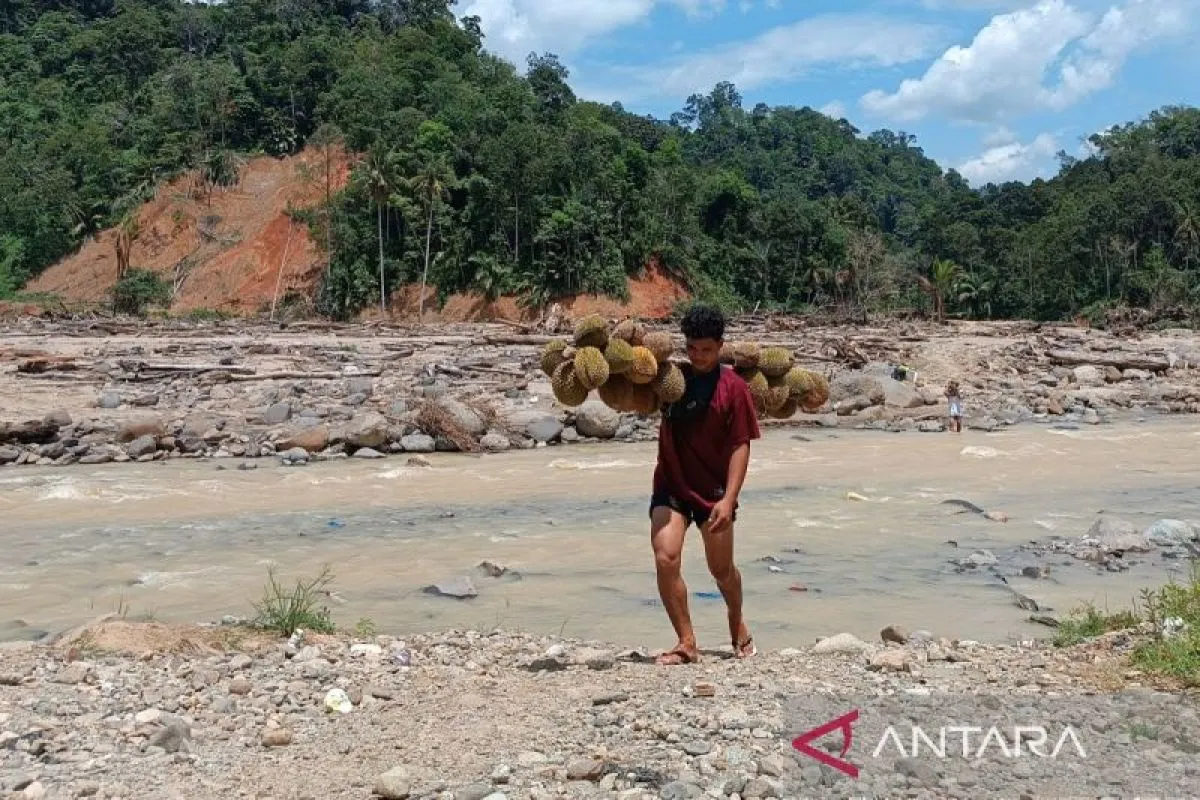 Warga Sibio-bio Terpaksa Menyeberangi Sungai Akibat Jembatan Putus