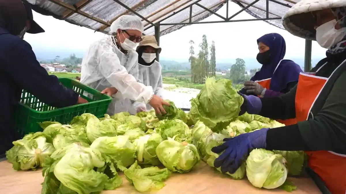 McDonald's Indonesia Ciptakan 330 Lapangan Kerja Baru Setiap 100 Karyawan