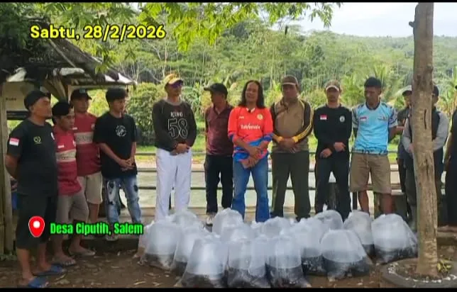 Relawan Salem Sebar Benih Ikan untuk Lestarikan Ekosistem Sungai