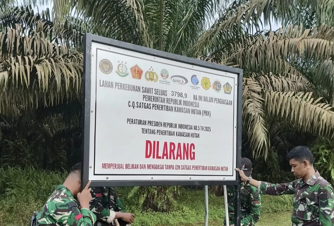 Penyitaan Lahan Perkebunan oleh Satgas Hutan Targetkan PT MAP dan PT Mananjung Hayak