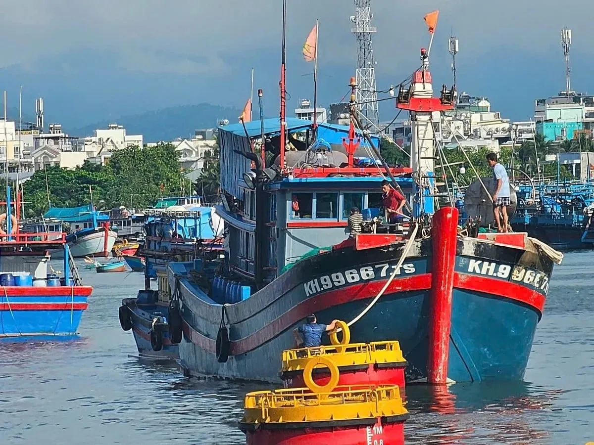 Khanh Hoa Awali Tahun Baru dengan Hasil Panen Tuna Melimpah dan Penegakan Hukum IUU