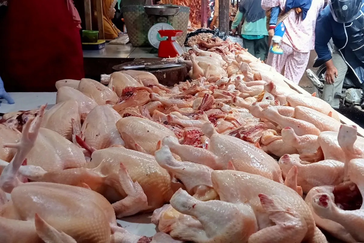 Tantangan Harga Kebutuhan Pokok Menyambut Ramadan 2026