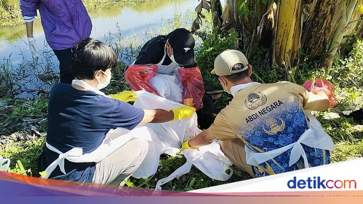 Dua Bocah Kakak-Adik Diserang Anjing Liar di Polewali Mandar