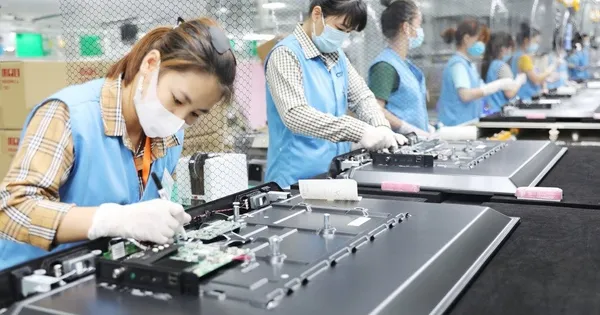Dong Thap Fokus Pada Investasi Teknologi Tinggi untuk Pertumbuhan Berkelanjutan