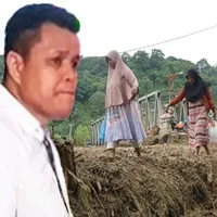 SALAMBA Desak Hentikan Penanaman Akasia dan Eukaliptus di Riau untuk Lindungi Lingkungan