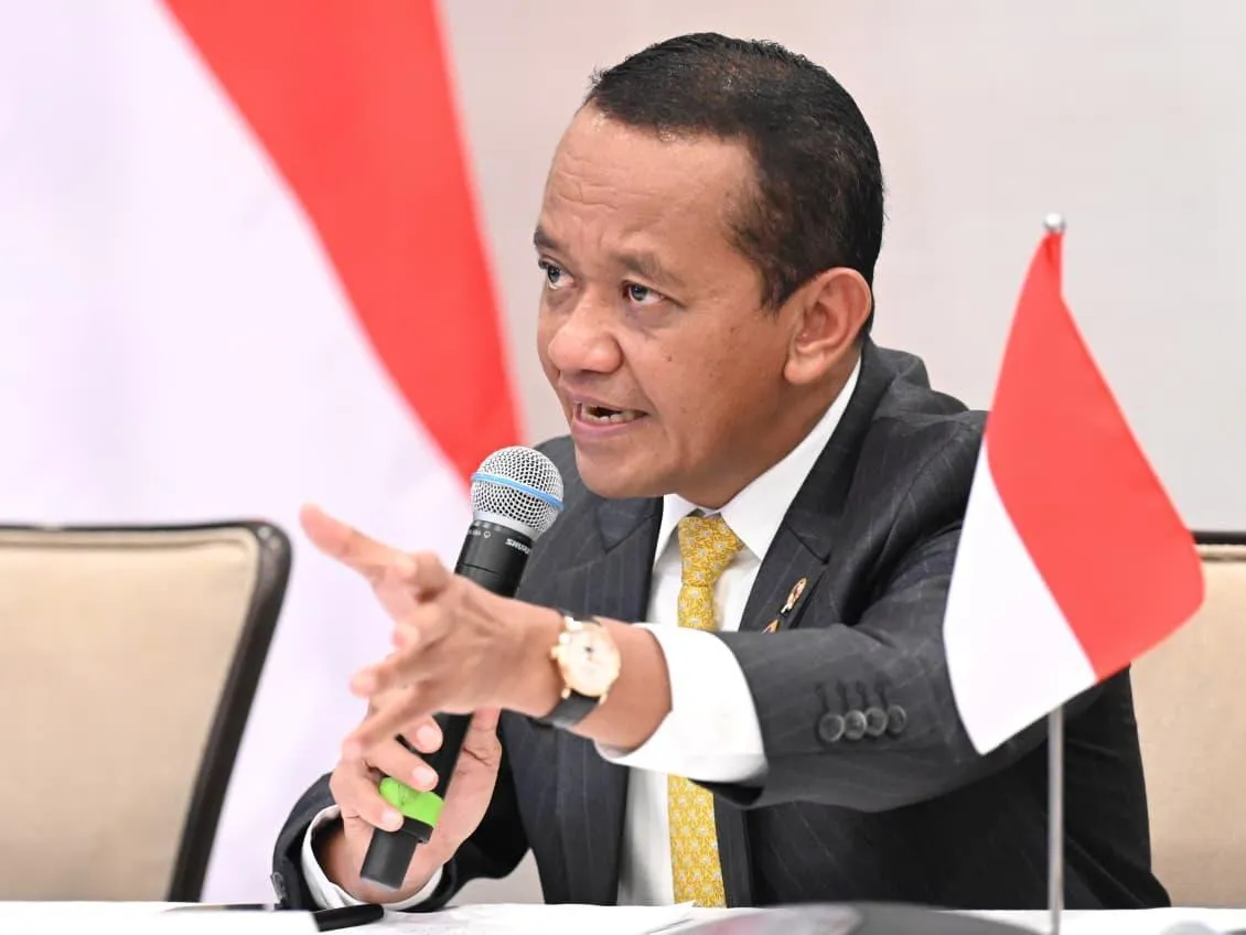 Indonesia Tawarkan Investasi Mineral Kritis untuk Perusahaan AS