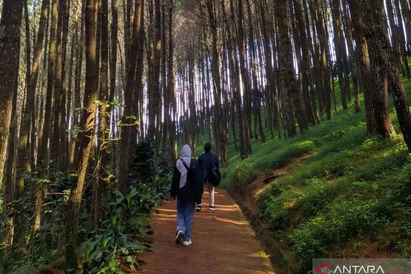 Transformasi Pariwisata Berkelanjutan Dorong Daya Saing Global Indonesia
