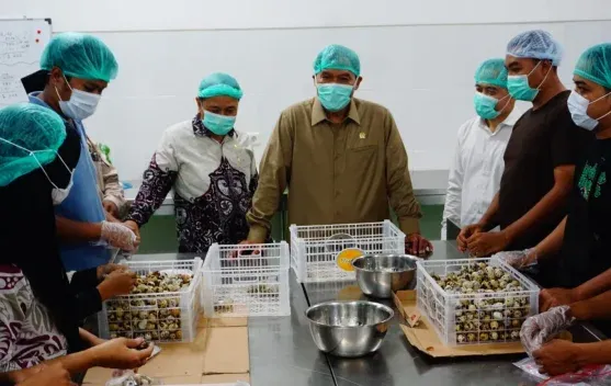 DPR RI Tinjau Kesiapan SPPG untuk Program Makan Bergizi Gratis