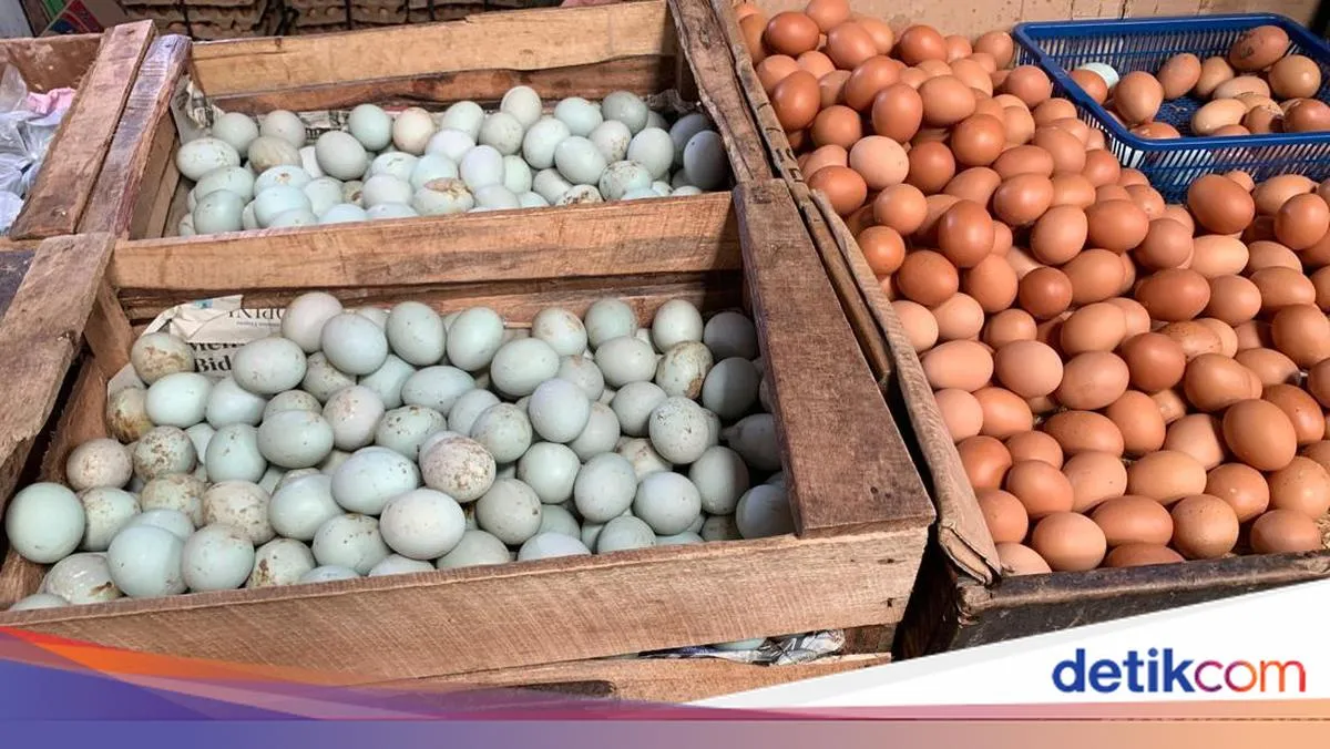 Harga Telur Ayam di Palembang Mencapai Rp 29.000/kg Jelang Lebaran