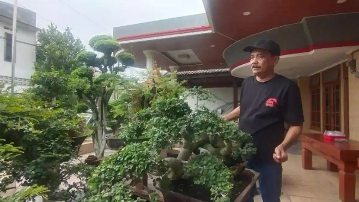 Hobi Bonsai Ketua DPRD Nganjuk: Seni Merawat Ratusan Tanaman Sejak 2016