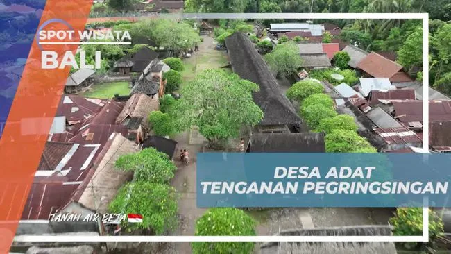 Selebriti Jelajahi Tradisi Desa Adat Tenganan Pegringsingan Bali