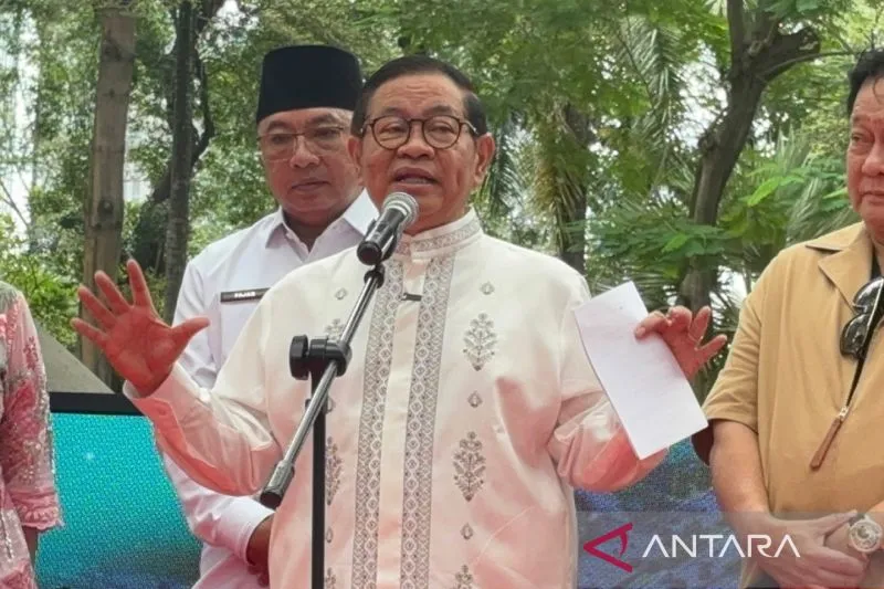Gubernur DKI Tindak Tegas Lapangan Padel Ganggu Ketertiban Warga
