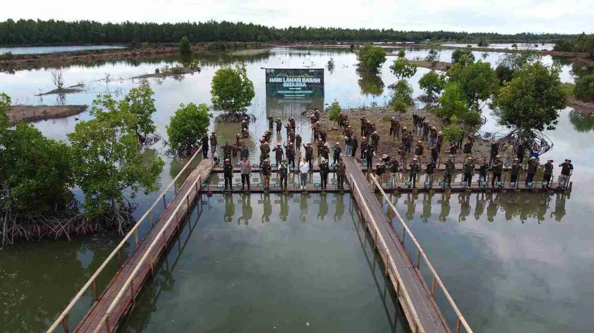 Kemenhut Implementasikan Program M4CR untuk Rehabilitasi Mangrove di Kalimantan