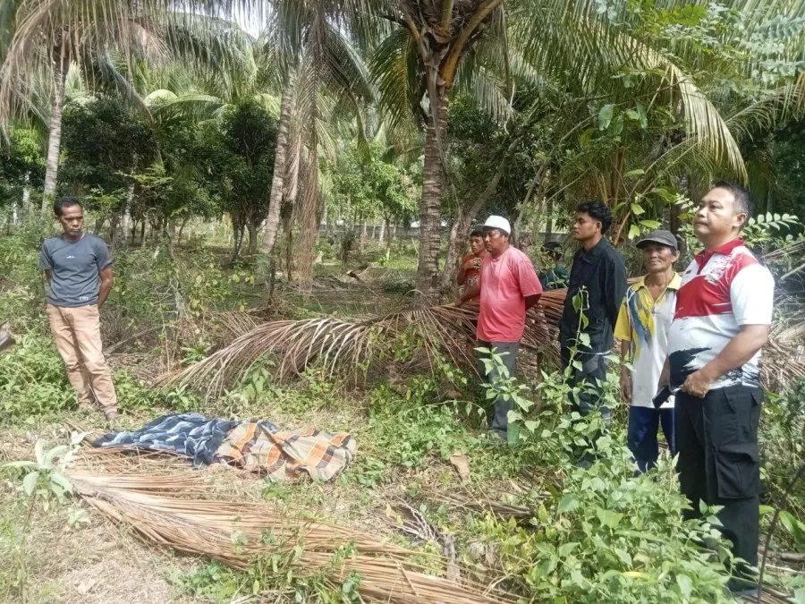 Penyelidikan Polisi Setelah Penemuan Mayat Pelajar di Kebun Kelapa Parimo