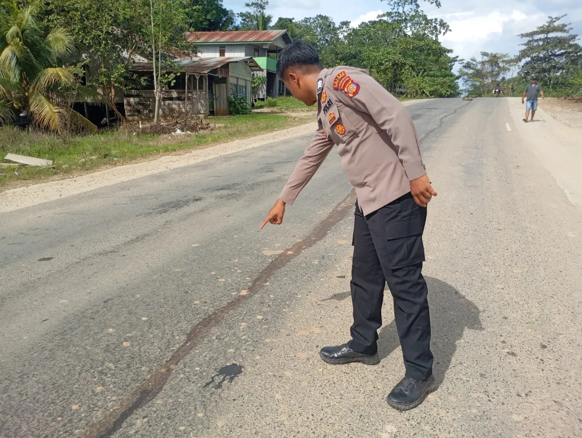 Kecelakaan Lalu Lintas Terjadi di Jalan Poros Simpang 7 HTI, Kutai Timur