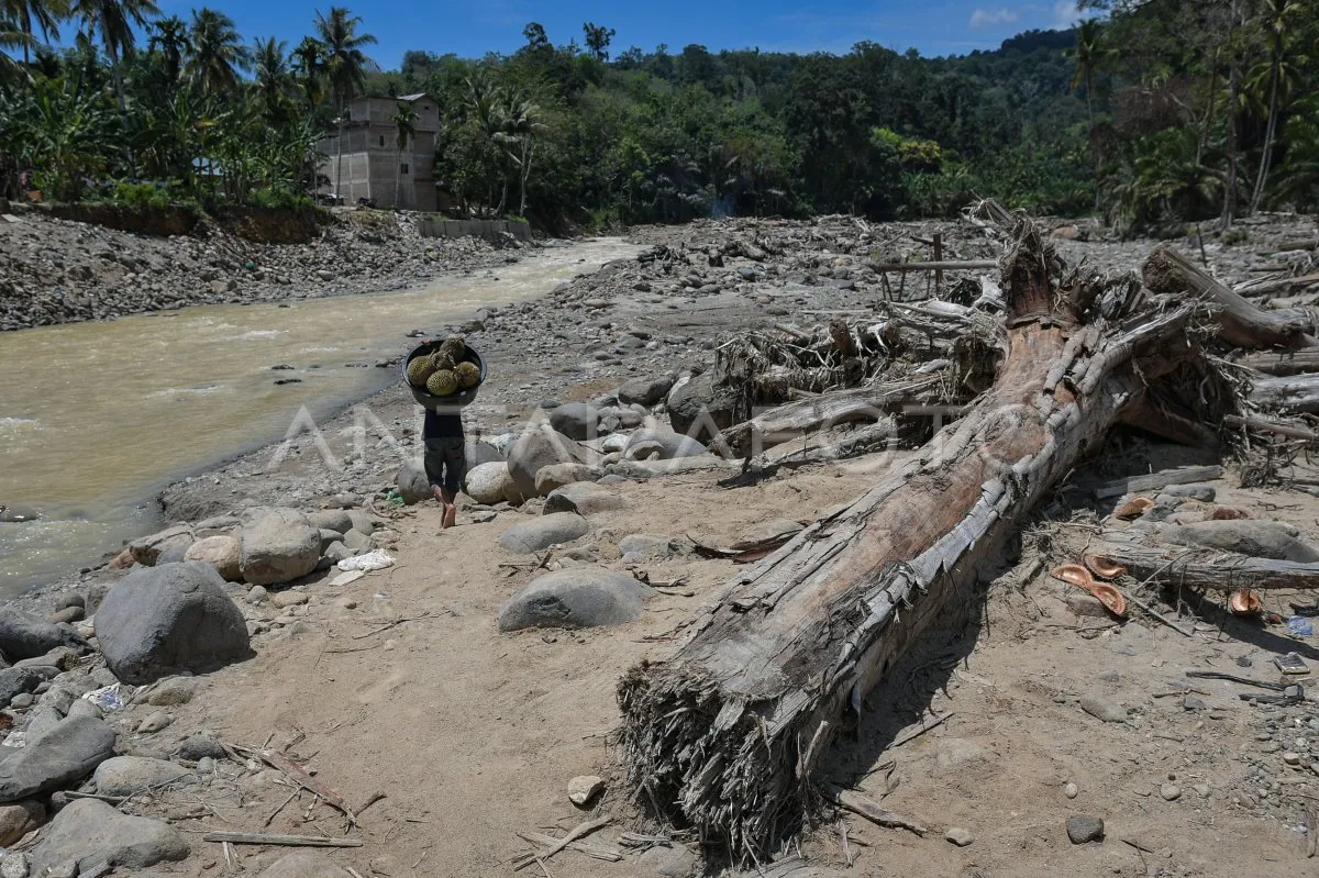Akses Desa Sibio-Bio Tapanuli Tengah Terhambat Akibat Jembatan Rusak