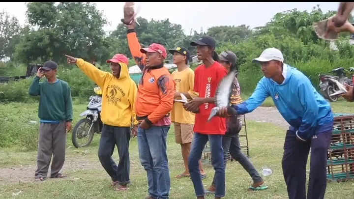 Merpati Balap Jadi Daya Tarik Ngabuburit Warga Sidoarjo