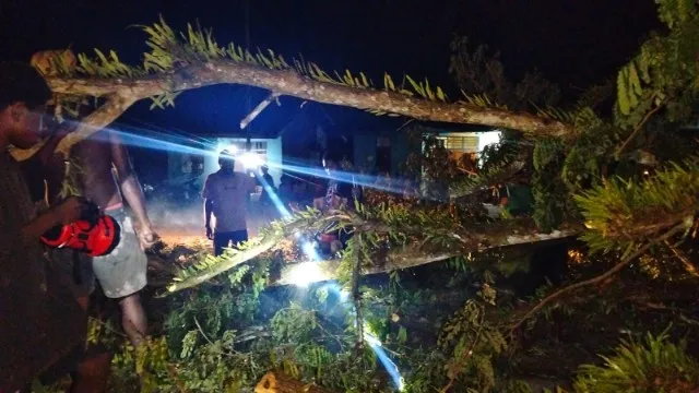 Aksi Pemalangan Jalan Timika - Pomako Berujung Kekerasan, Satu Polisi Terluka