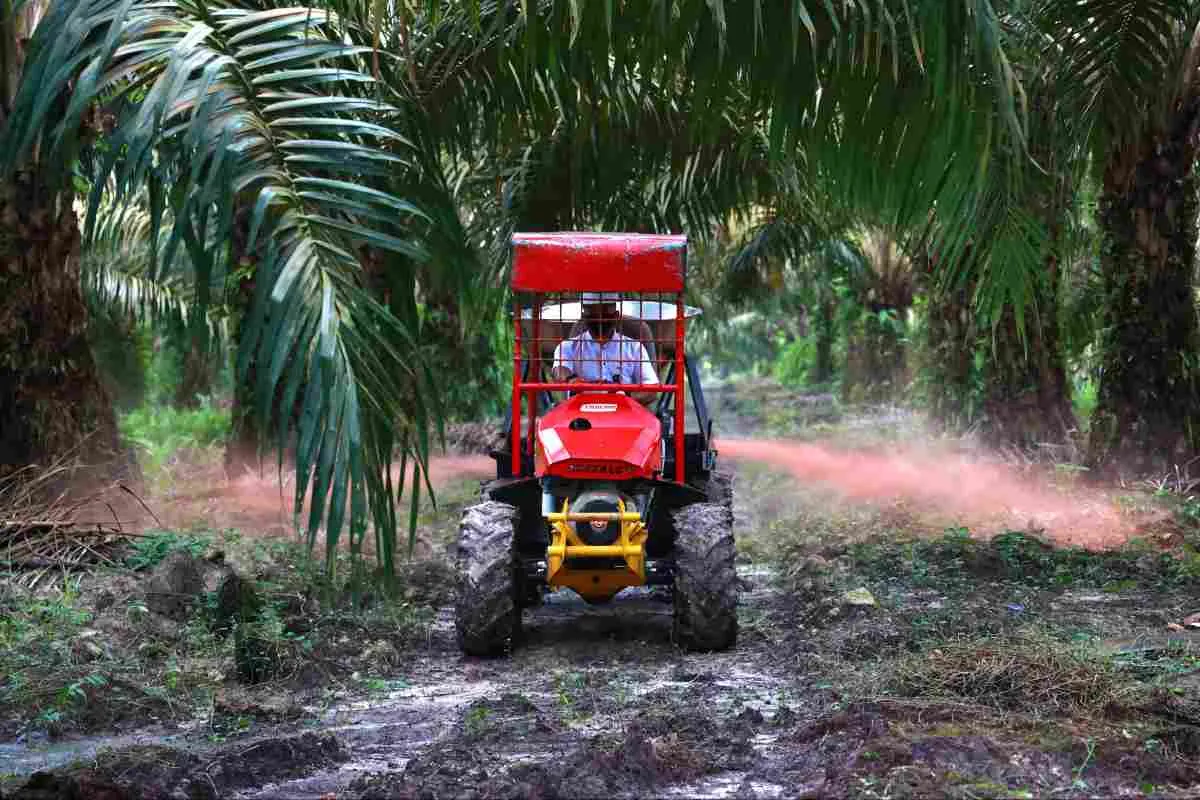 Kebun Air Molek 2 Siap Laksanakan Peremajaan 862 Ha Sawit untuk Keberlanjutan