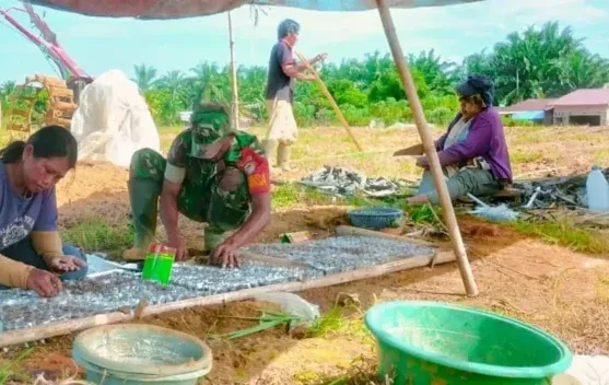 Sabariadi Tingkatkan Ekonomi Keluarga Melalui Budidaya Semangka