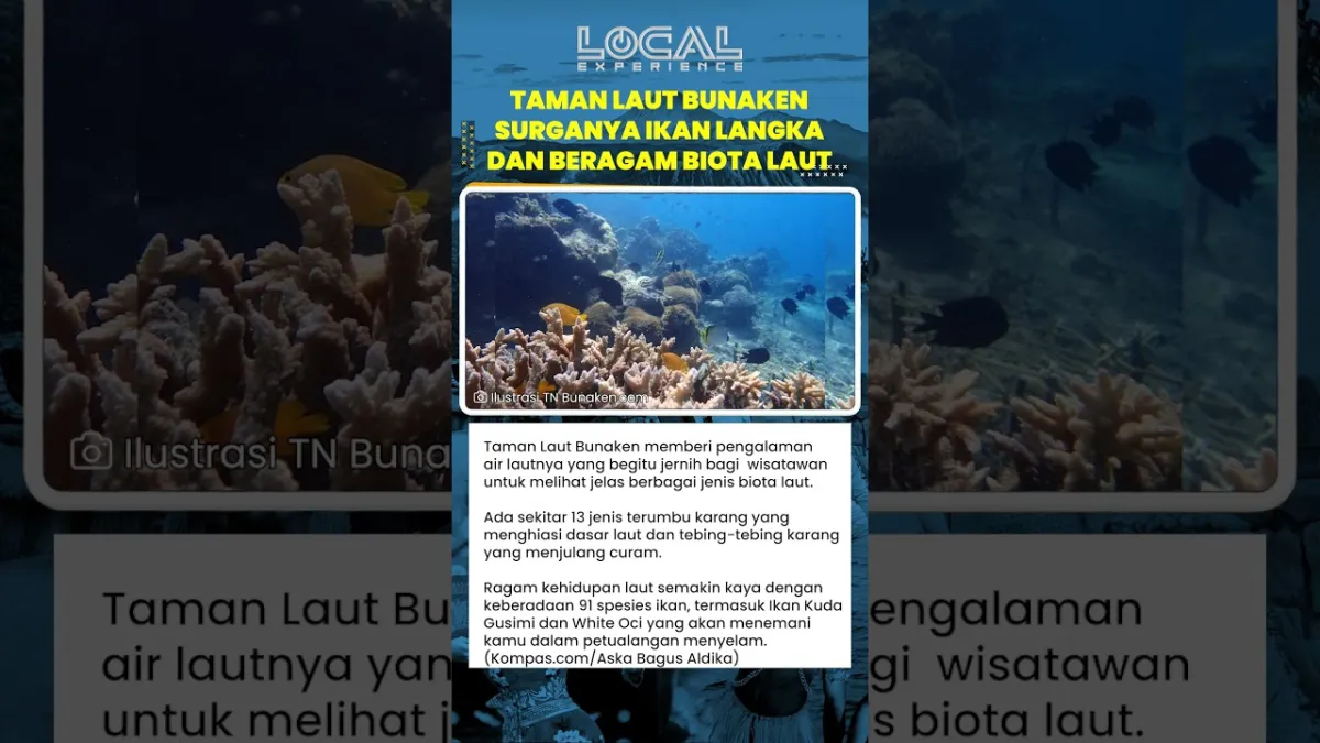 Menelusuri Keindahan Taman Laut Bunaken: Terumbu Karang dan Keanekaragaman Spesies Ikan