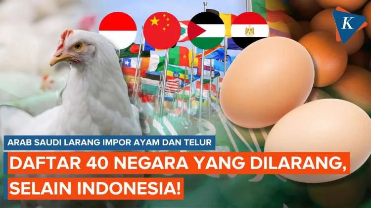 Arab Saudi Larang Impor Ayam dan Telur dari 40 Negara, Termasuk Indonesia