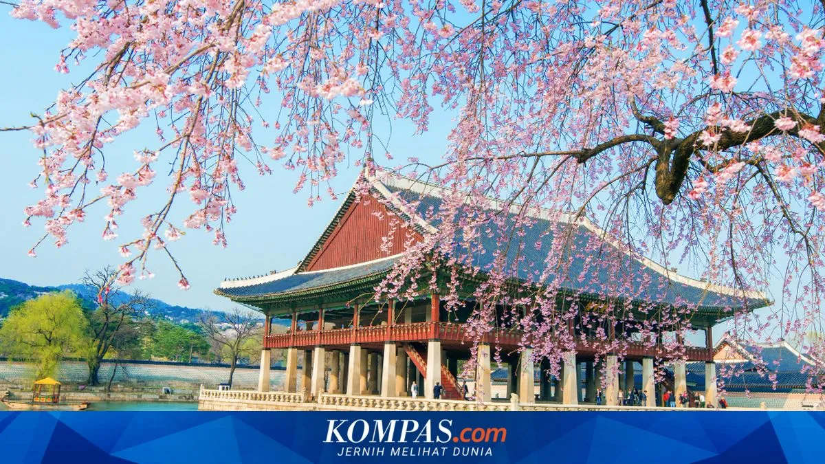 Korea Selatan Tawarkan Bebas Visa untuk Wisatawan Indonesia