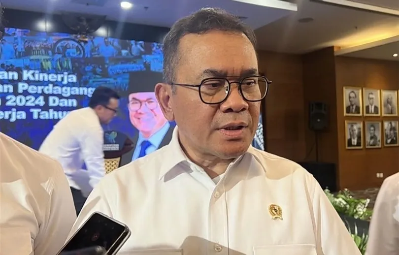 Pemerintah Siap Bela Industri Panel Surya Nasional Hadapi Bea Masuk AS