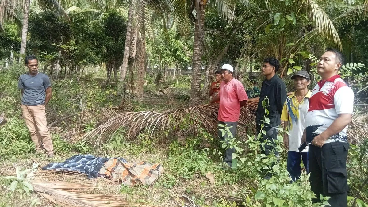 Penyelidikan Polisi Usai Ditemukan Mayat Pelajar SMP di Kebun Kelapa
