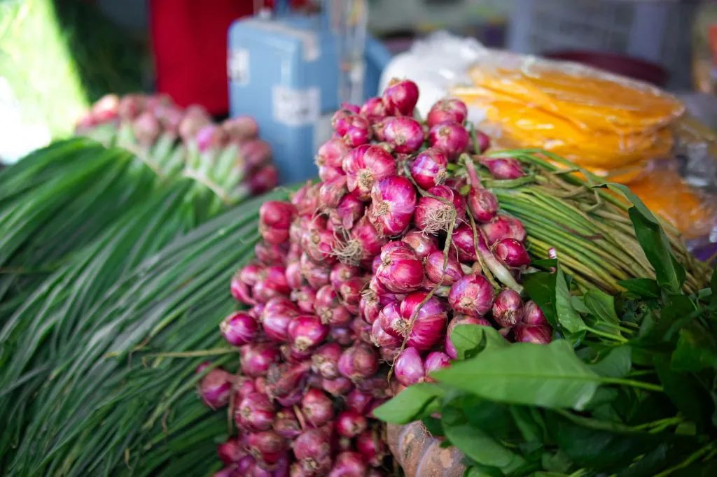 Kementan Pastikan Ketersediaan Bawang Merah Jelang Iduladha