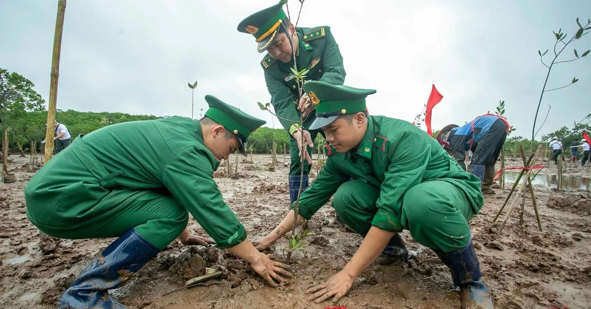 Penanaman 9.000 Pohon Bakau Perkuat Pertahanan Alam Terhadap Bencana
