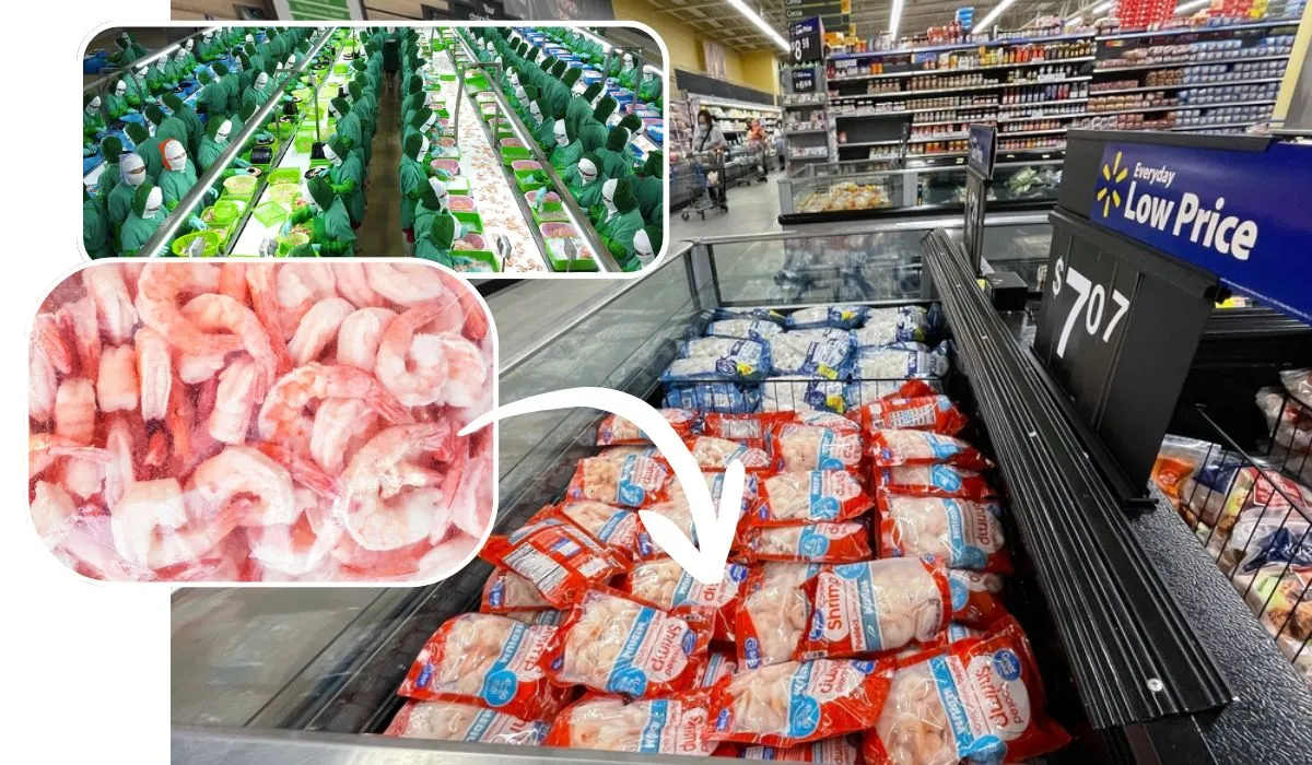 Krisis Ekspor Udang Indonesia: Ancaman Terhadap Pekerjaan dan Devisa