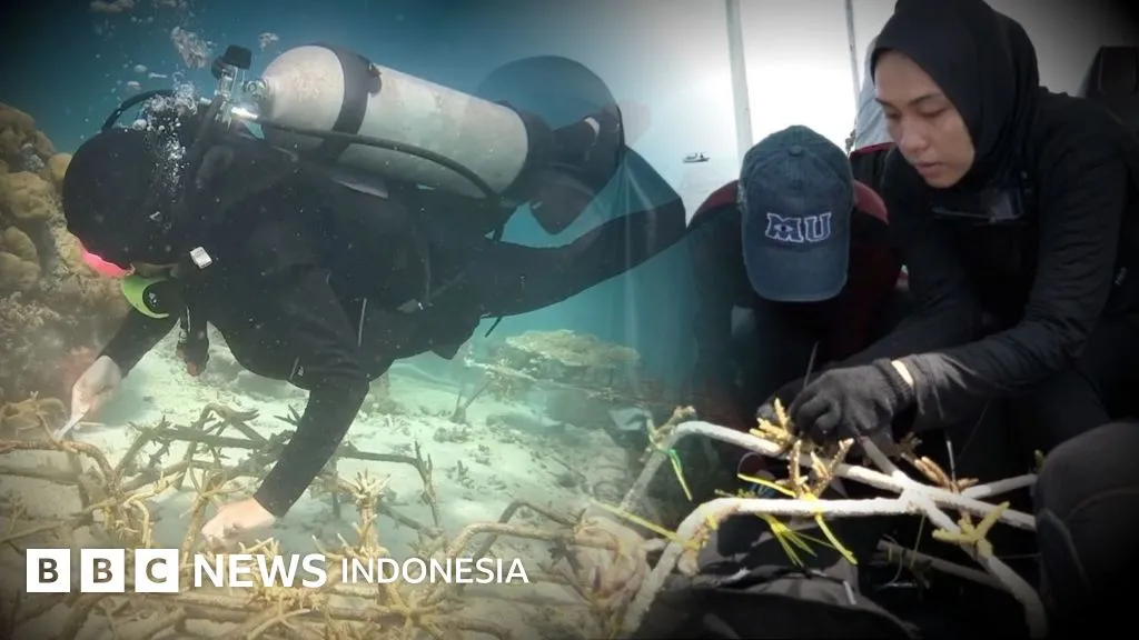 Perempuan Muda di Selat Makassar Berperan Aktif dalam Restorasi Terumbu Karang