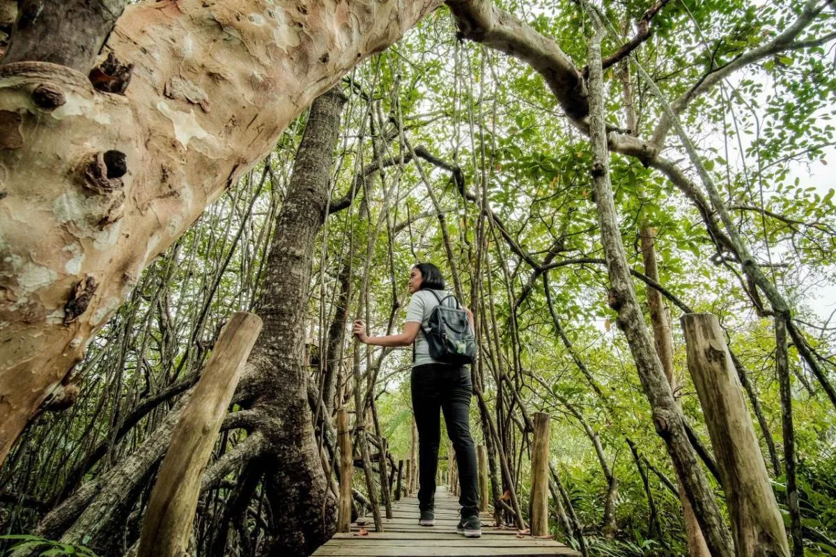 Transformasi Pariwisata Berkelanjutan Kunci Daya Saing Indonesia