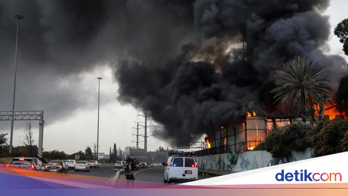 Perang Israel-AS dan Iran Berpotensi Ganggu Rute Migrasi Burung