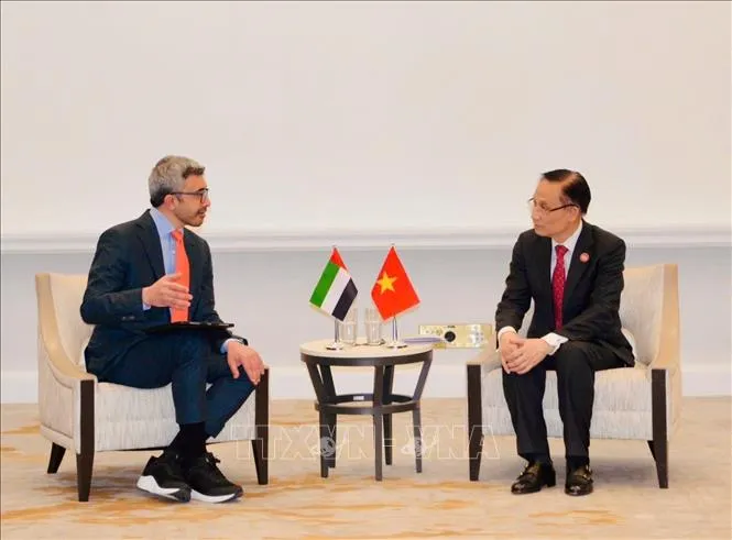 Menlu Vietnam Bahas Kerja Sama dengan Menlu UEA, Mesir, dan Turki di Pertemuan Dewan Perdamaian