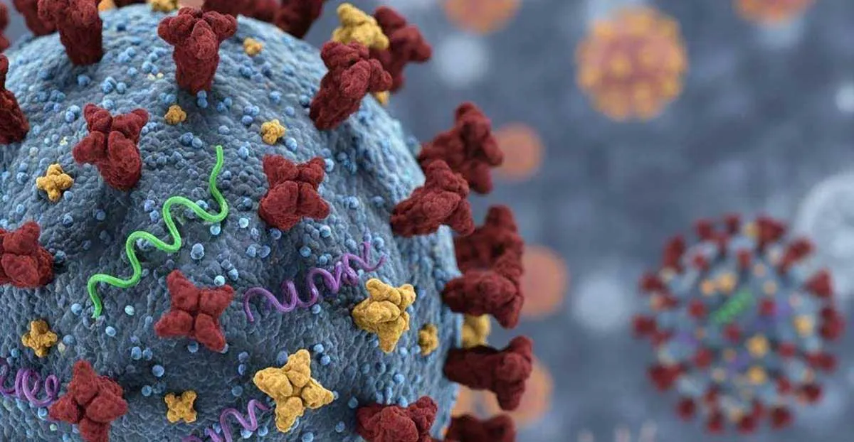 Kementerian Kesehatan Catat 62 Kasus Influenza A Subclade K di Indonesia