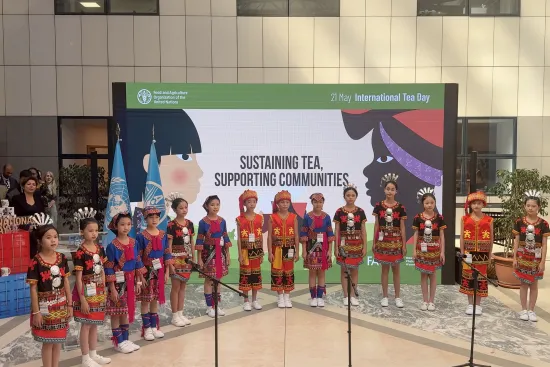 Teh Hutan Wuzhishan Memperkenalkan Budaya Teh di Hari Teh Internasional di Roma