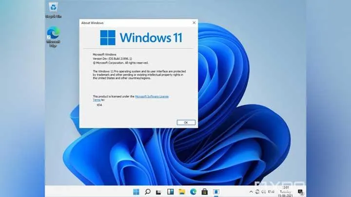 Fakta Penting tentang Windows 11 yang Perlu Diketahui Sebelum Instalasi