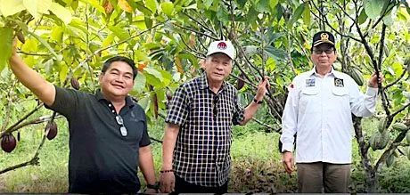 Marthin Billa Dorong Pengembangan Kakao untuk Kesejahteraan Petani Desa