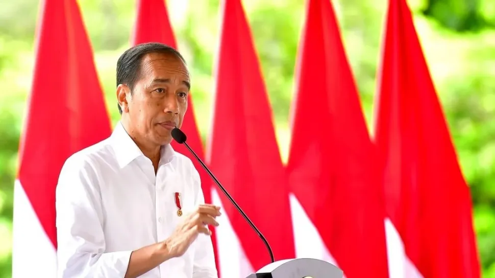 Walhi Kritik Proyek Strategis Nasional Jokowi yang Masih Jawa Sentris