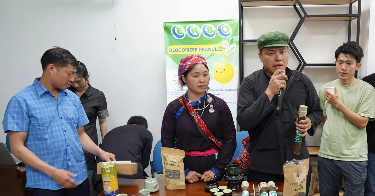 Da Nang Kolaborasi dengan Lao Cai dan Son La untuk Transformasi Digital Usaha Kecil
