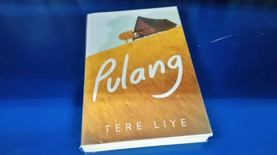 Kehidupan Tragis Bujang: Antara Takdir dan Sistem dalam Novel Pulang